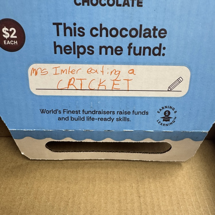 chocolate 