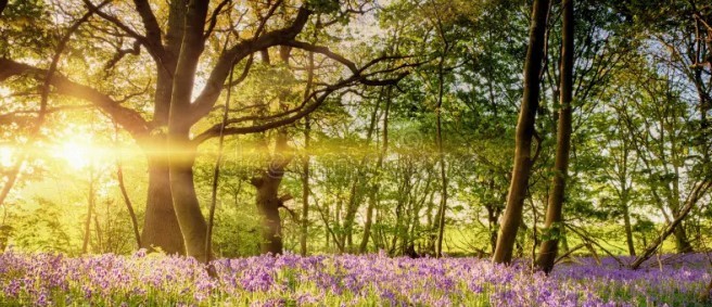 Spring Newsletter 2026