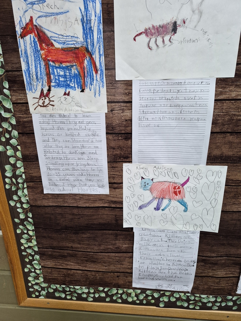 Horses, cats, and kittens