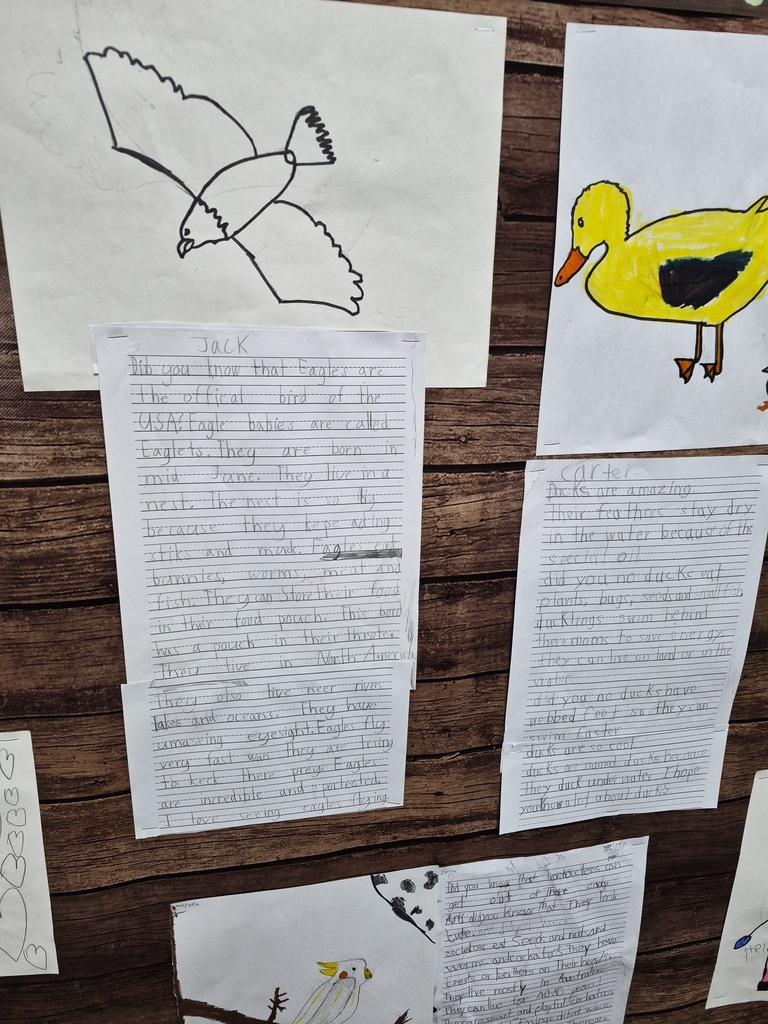 Eagles, ducks, and cockatoos