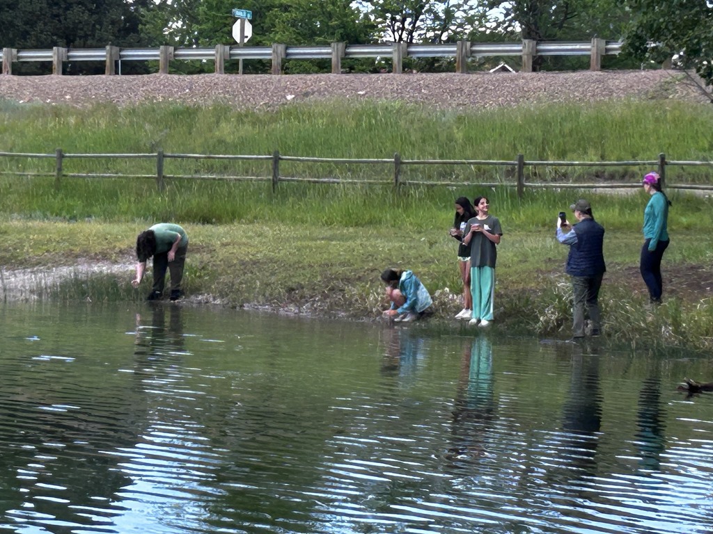 trout release