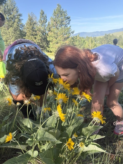 A 5th grade adventure