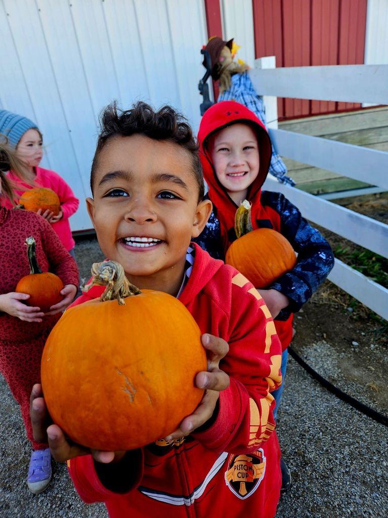 pumpkin patch