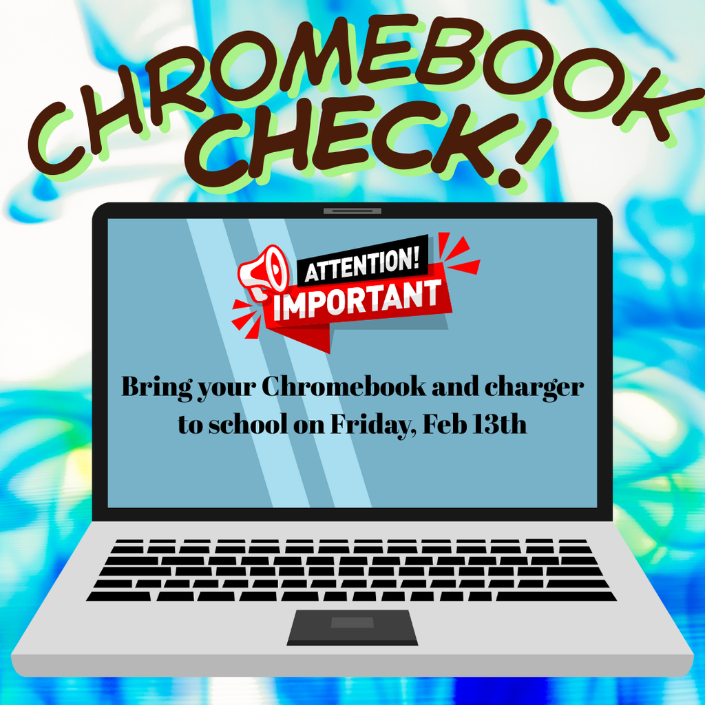 flyer Chromebook check
