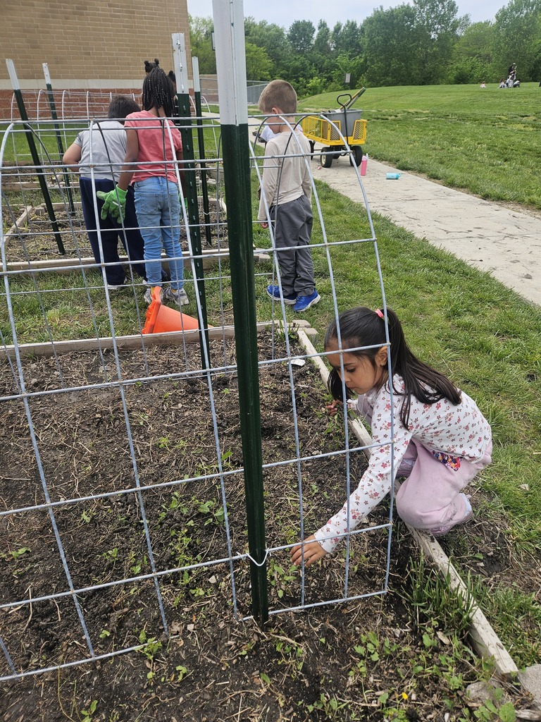 Five children in a school garden. One is leaning over a wire mesh fence to plant.
