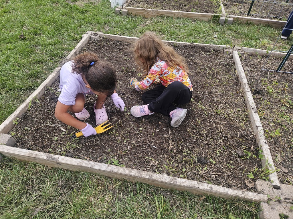 Two children crouch in a garden bed, using tools to dig into the soil.
