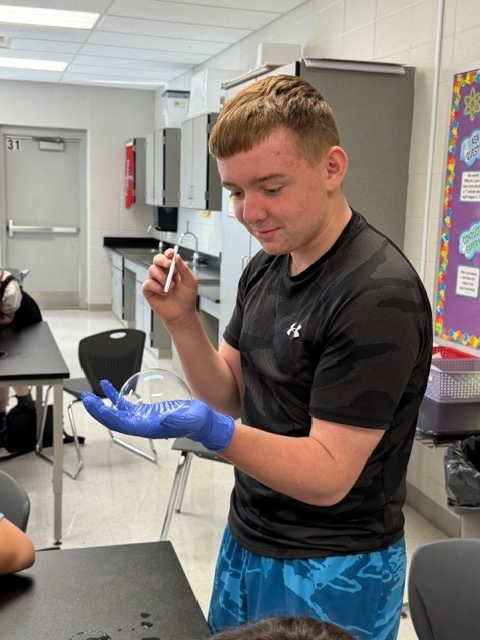 A man in a classroom wearing gloves and a black shirt is holding a pipette.