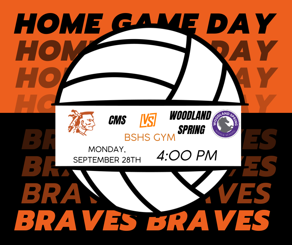 VB flyer
