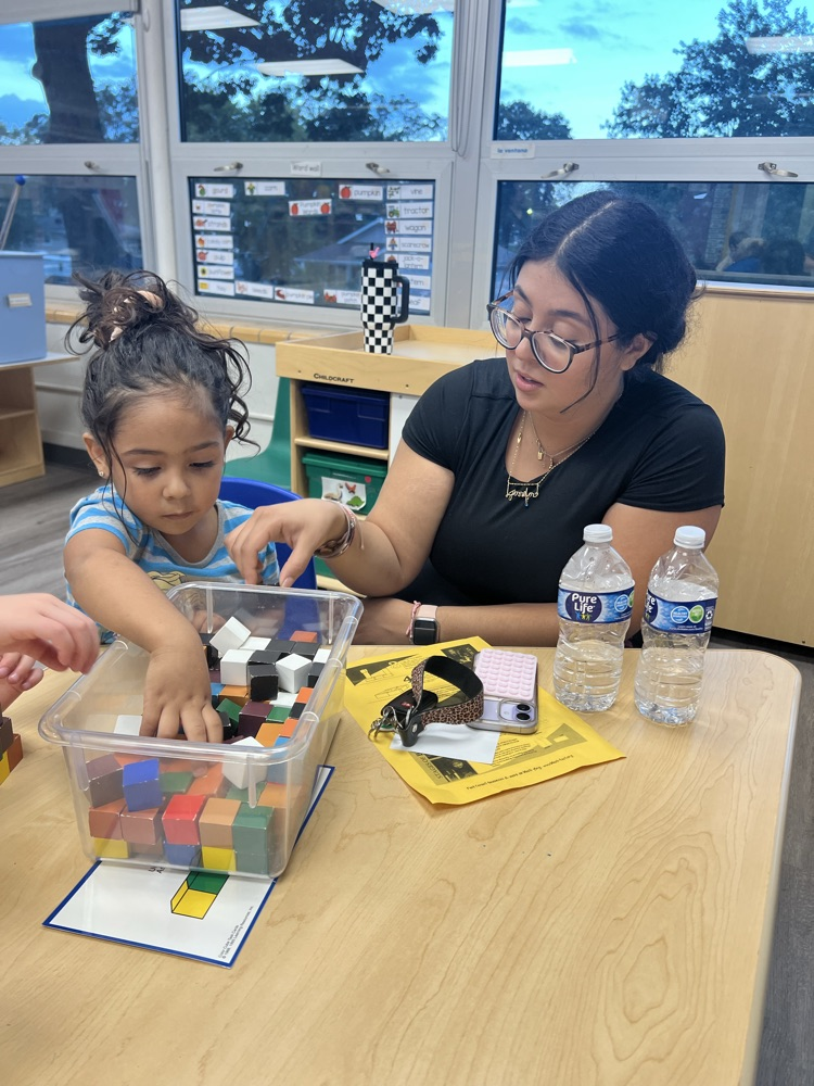 families build with small blocks to create shapes