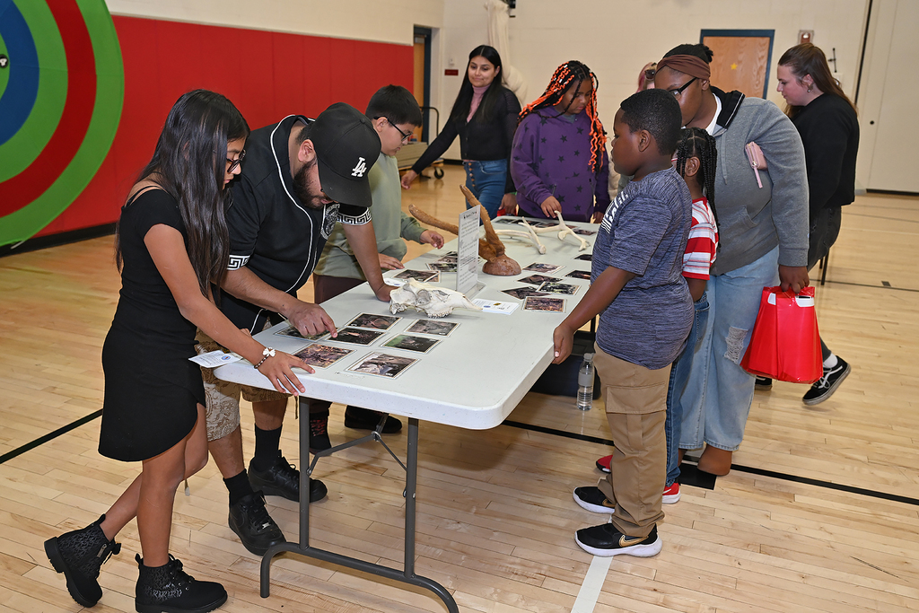 STEM night families