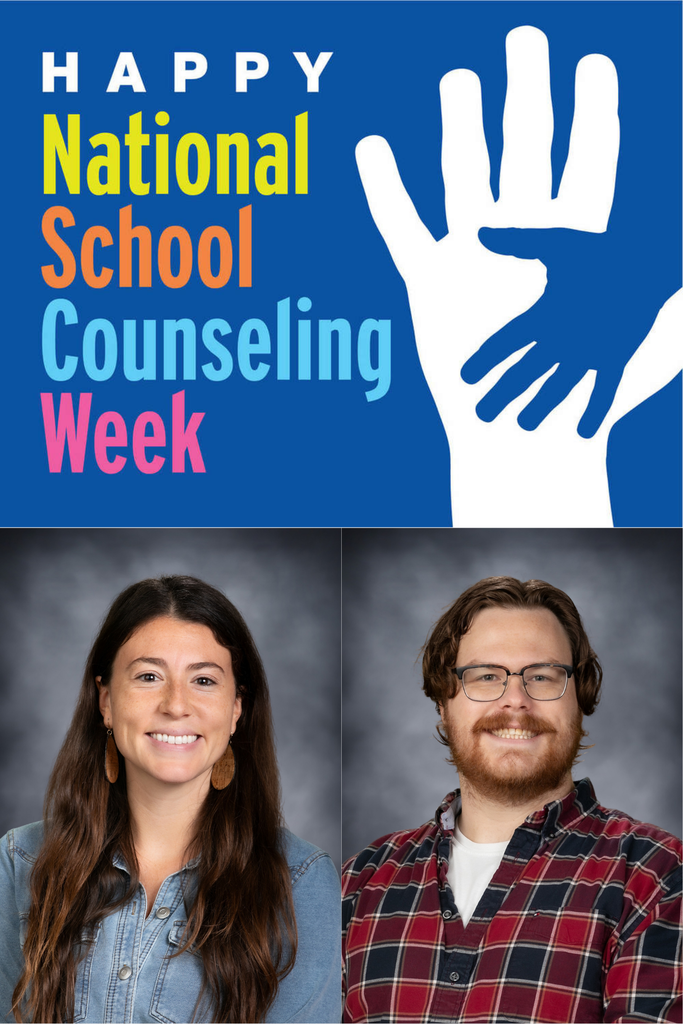 school counselors