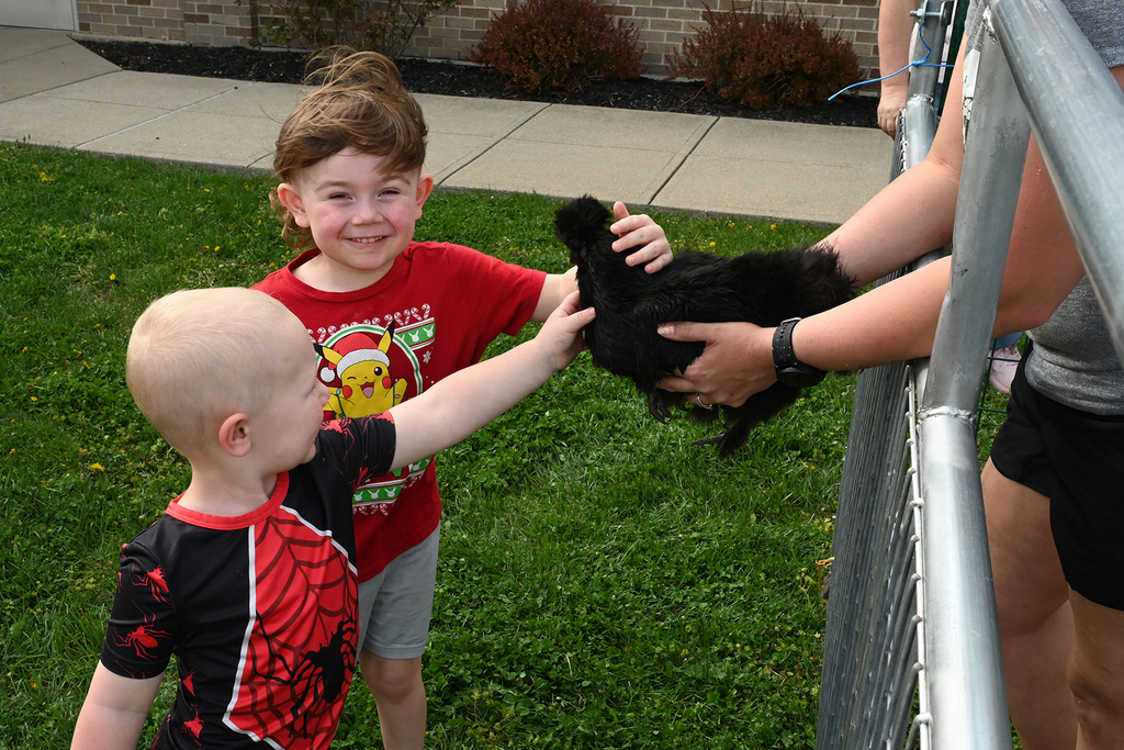 kids petting a chicken