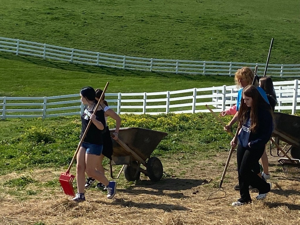 Our kids working hard!