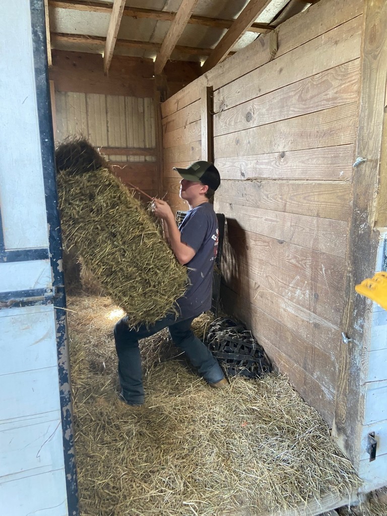 Stacking hay