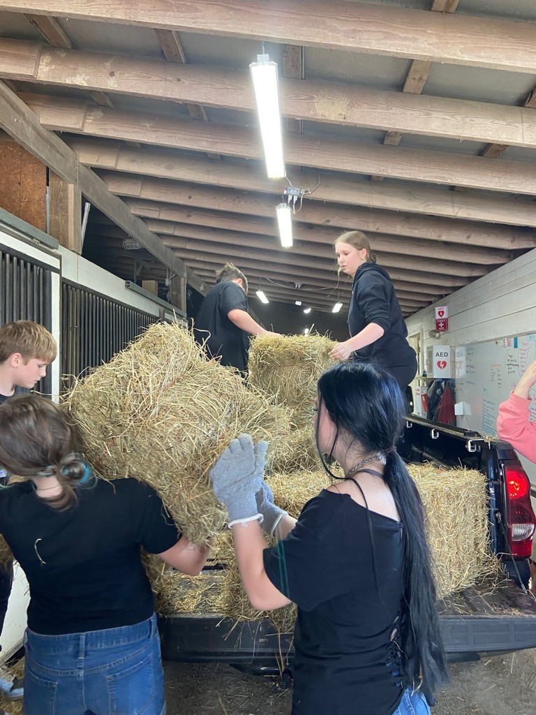Teamwork to move hay into the stalls