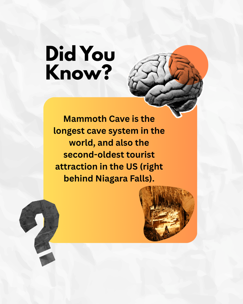 Did You Know