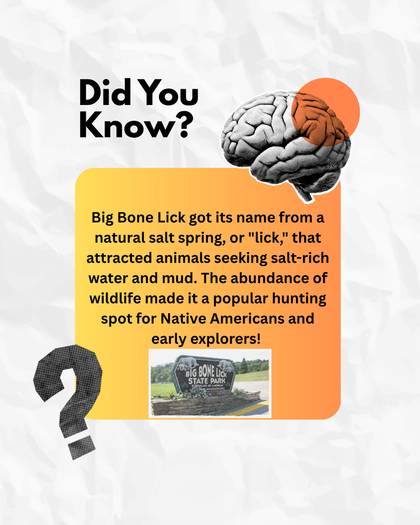 Did You Know