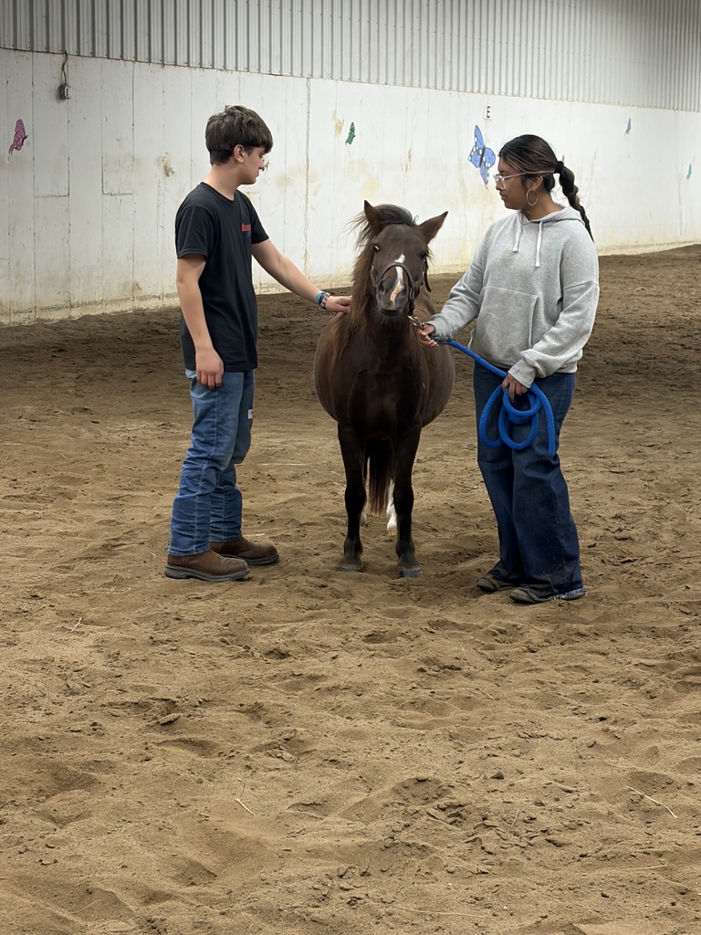 New Day Ranch