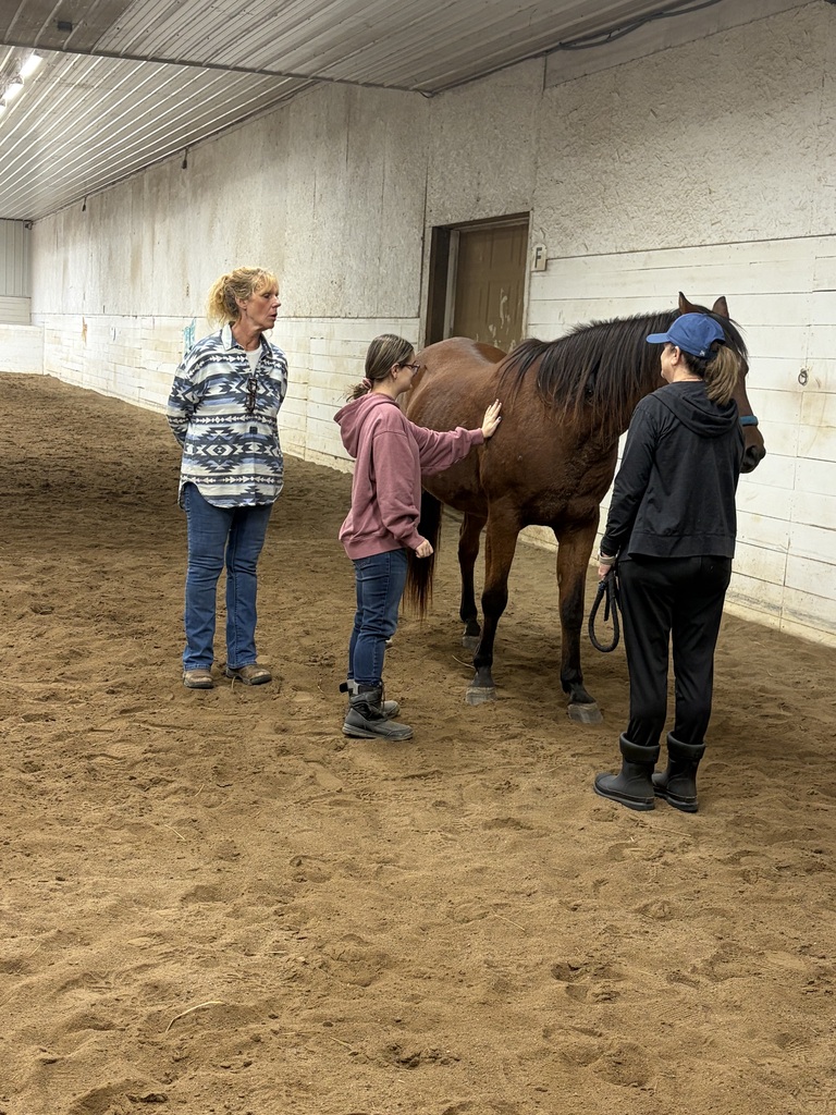 New Day Ranch