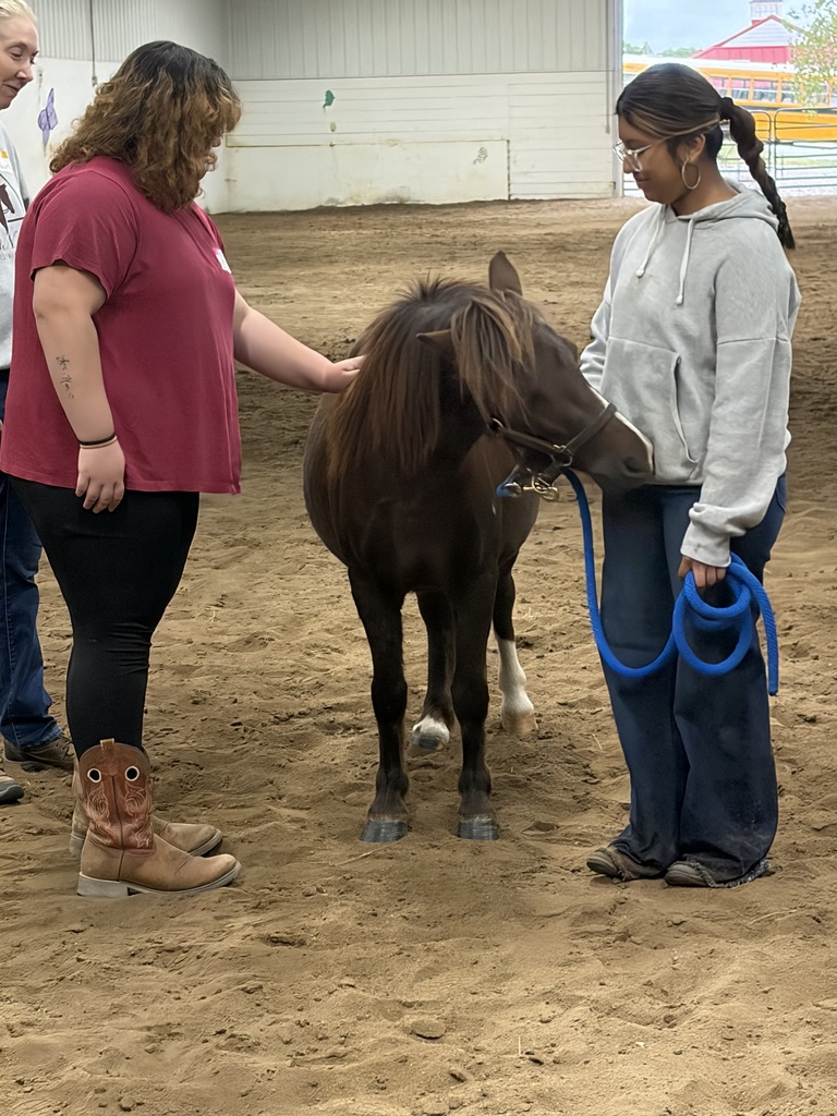 New Day Ranch