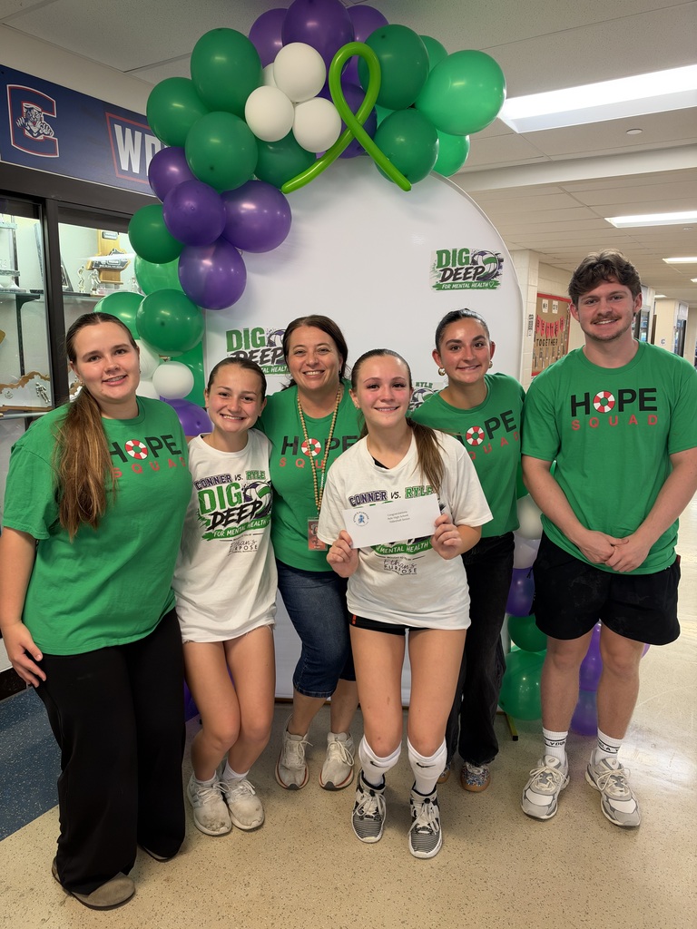 Dig Deep for Mental Health game