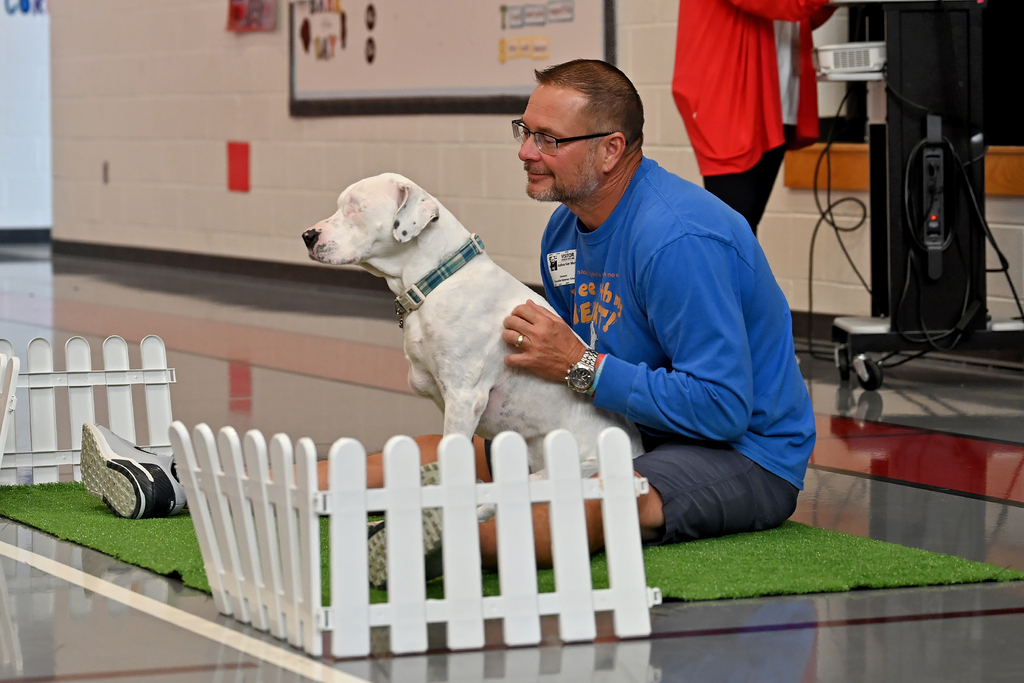 A man in a blue shirt kneels with a white dog on a green rug, inside a white fence.