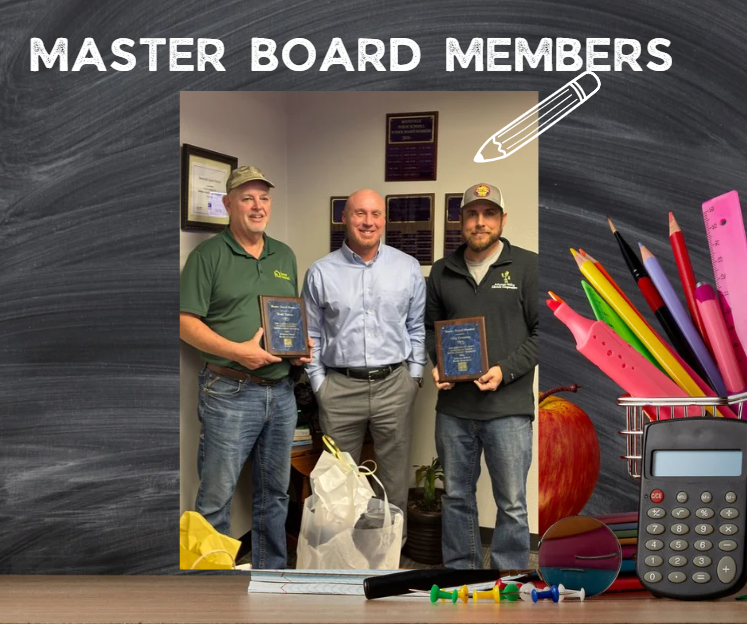 board members