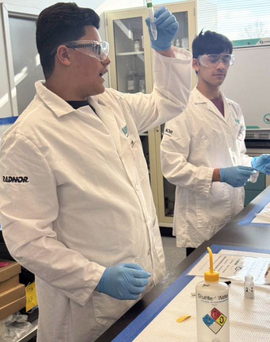 Screenshot 2026-02-17 093118