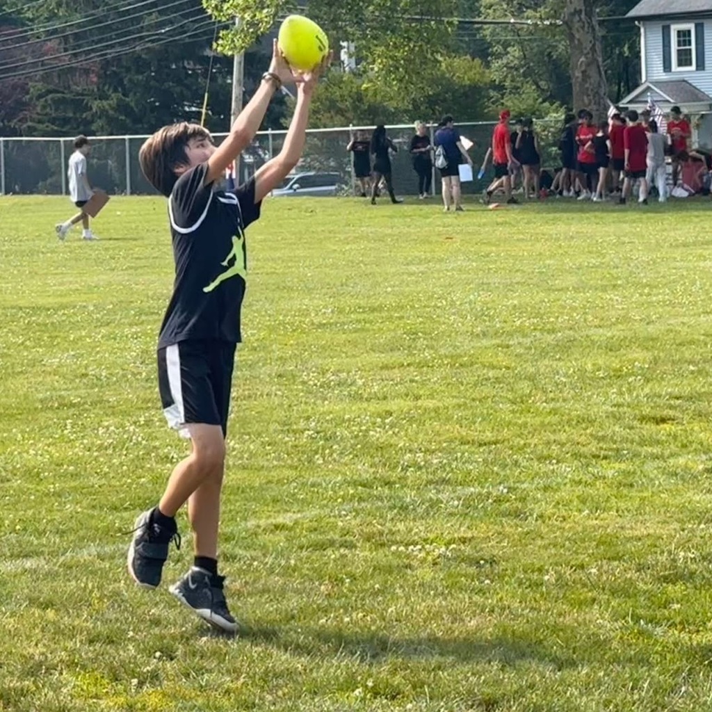 field day