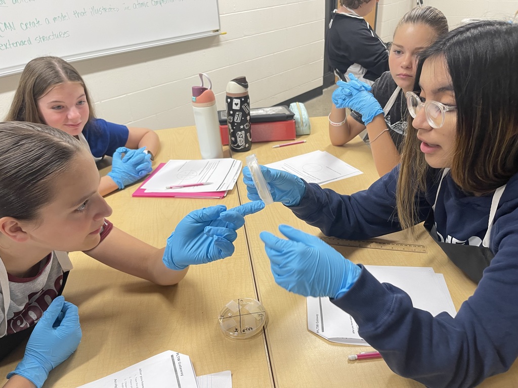 Discussion of observations