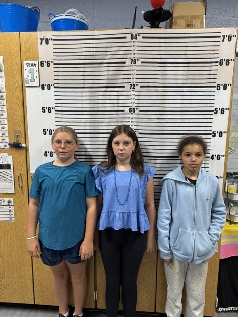 3 suspects