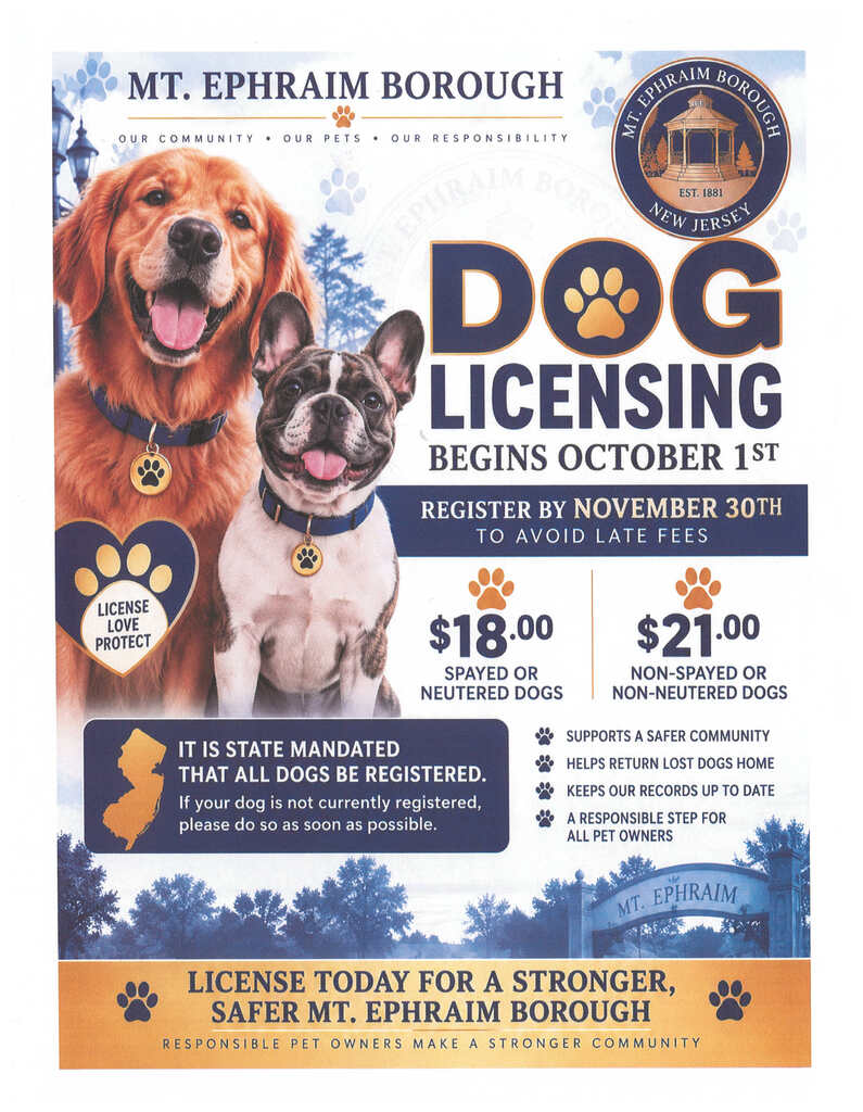 Dog Licensing