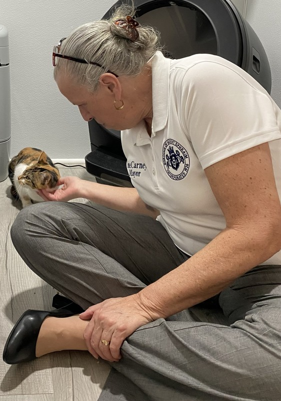 Community Cat Club Grand Opening