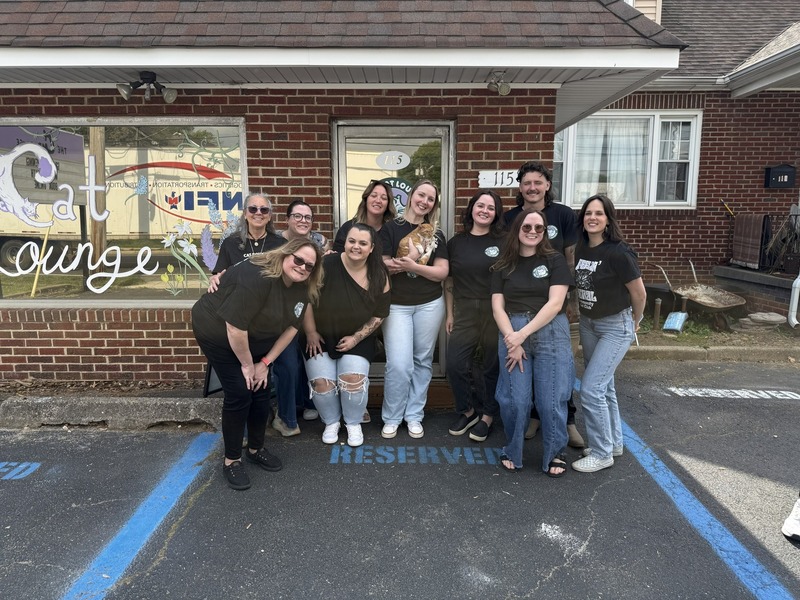 Community Cat Club Grand Opening