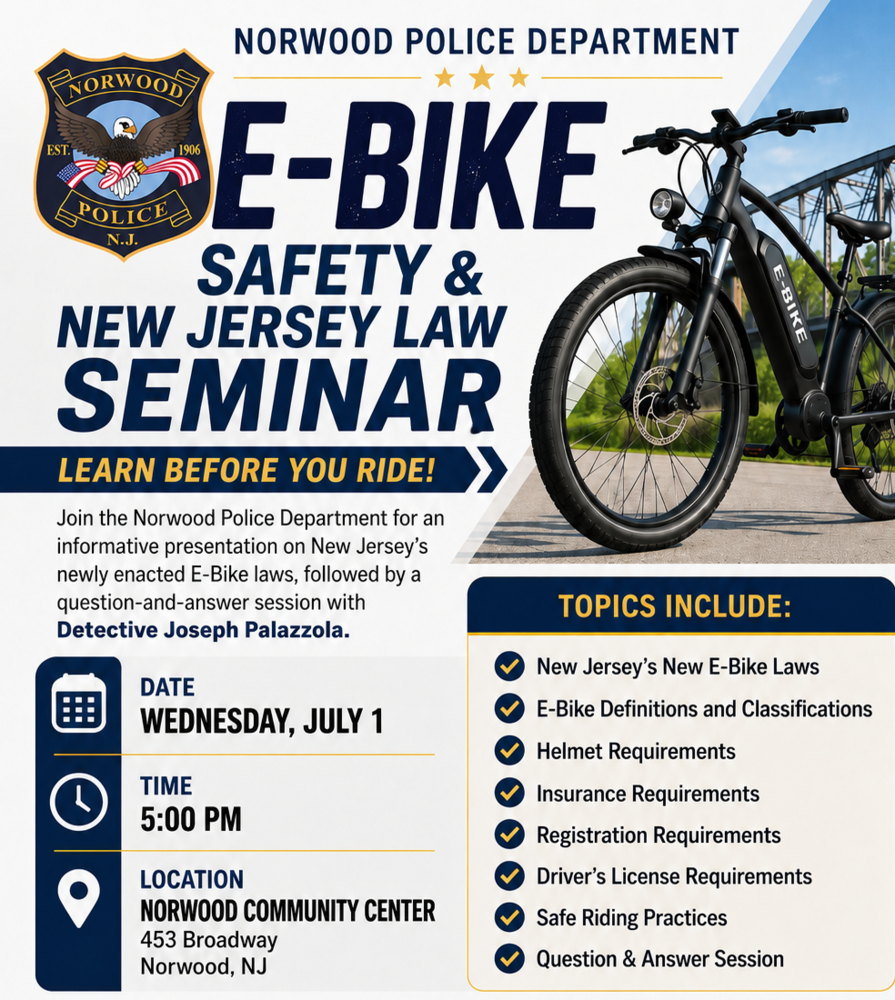 e-bike flyer