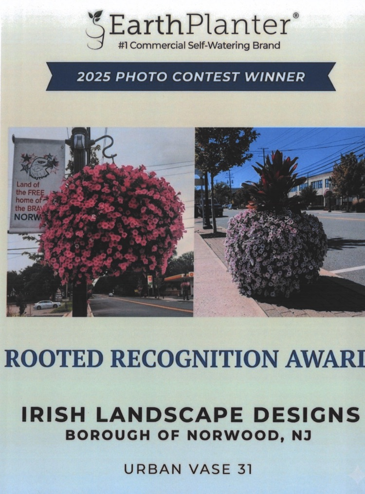 award picture