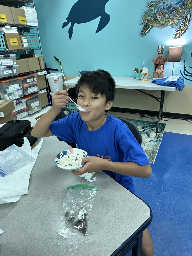 ice cream in a bag lab