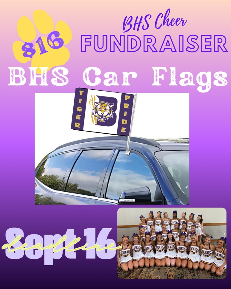 car flags 