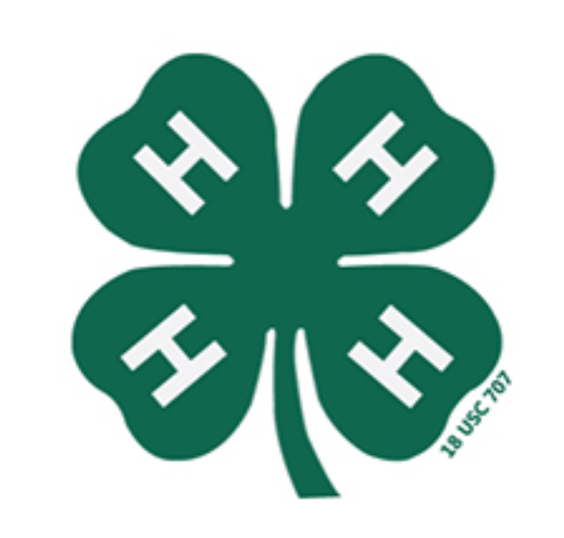 4H