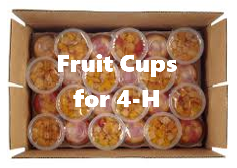 4h
