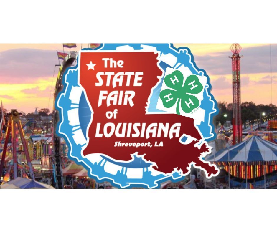 4H State Fair