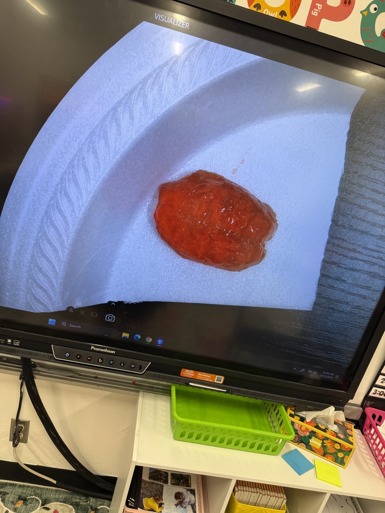 Jell-o Brains