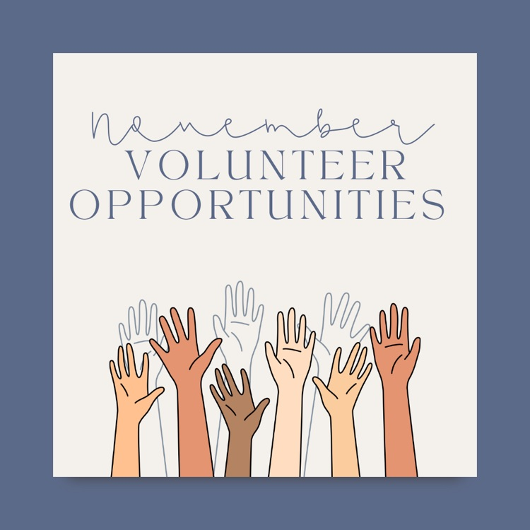 November volunteer opportunities