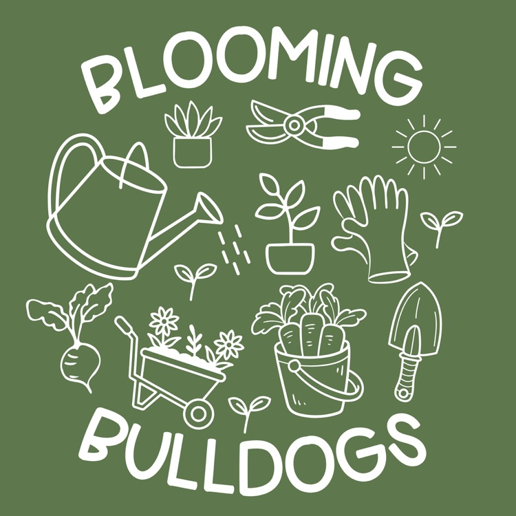 blooming bulldogs