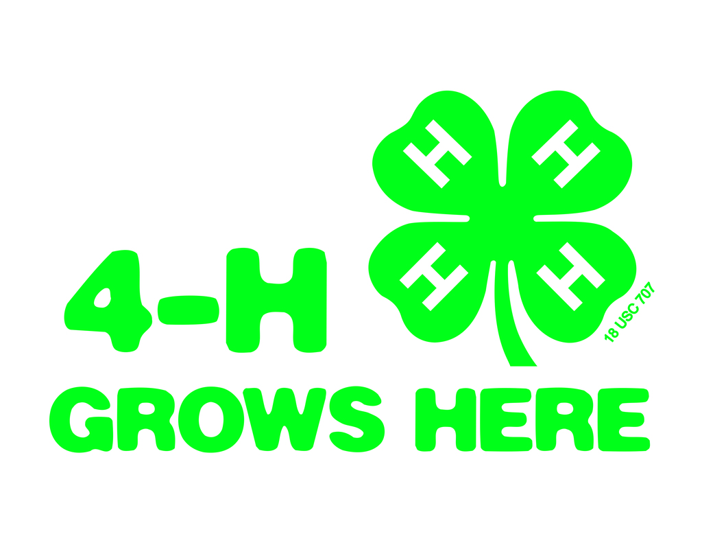 4-H News