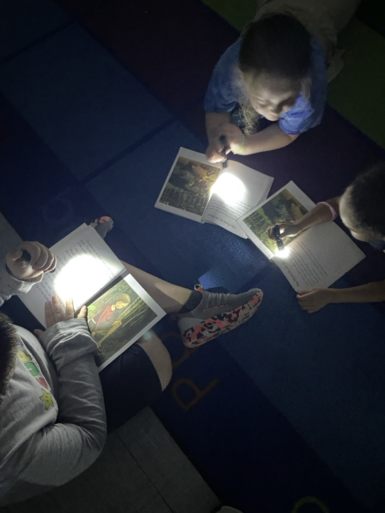 flashlight reading 