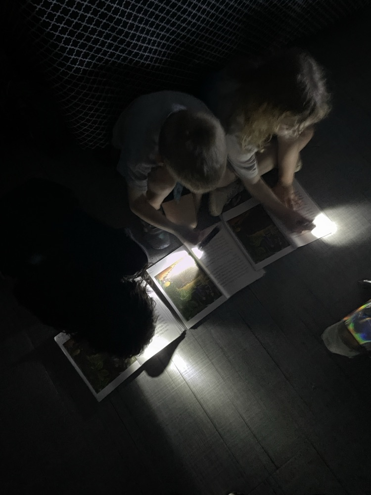 flashlight reading 