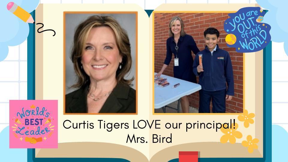 curtis