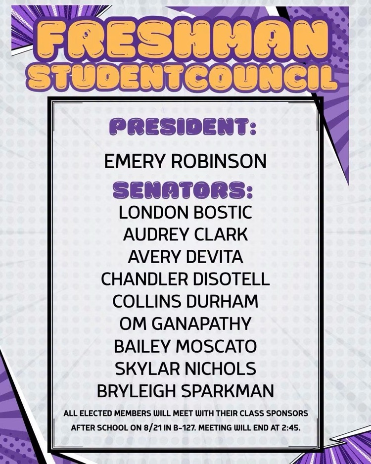freshman stuco