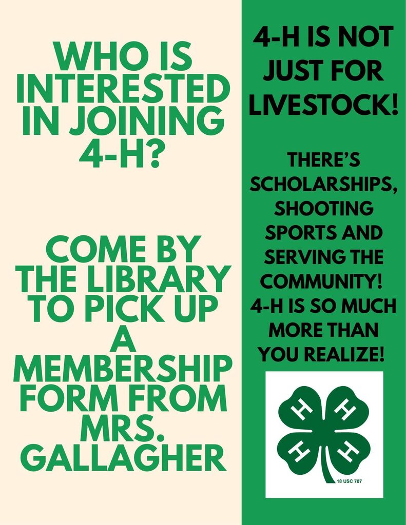 4-H flyer